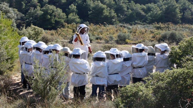 Les colònies, escoles de medi ambient